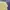 Nike Streetwear Sportswear Hoody Pria yellow photo 7