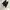 Adidas Grunge Casual Sneakers Pria white black photo 1