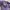 Minimalist Casual Hat Pria multicolor purple photo 4