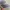 Minimalist Casual Hat Pria multicolor purple photo 2