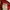 Carhartt Streetwear T-shirt Pria red photo 3