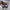 New Balance Streetwear Sneakers Pria multicolor photo 4