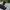 Kappa Vintage Sportswear Windbreaker Pria white black photo 3