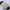 CELINE Y2K Shoulder bag Wanita white photo 3