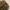 Coach Vintage Shoulder bag Wanita tan photo 2