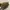 Coach Vintage Shoulder bag Wanita tan photo 3