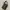 Fendi Y2K Bucket bag Wanita brown photo 1