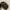 Fendi Y2K Bucket bag Wanita brown photo 3