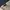 Umbro Sportswear Track jacket Pria white navy photo 5