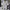 Lacoste Streetwear Luxury Polo Shirt Pria White