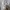 Lacoste Streetwear Luxury Polo shirt Pria white photo 7