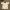 Adidas Sportswear Casual Jersey Pria white photo 2