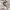 Adidas Sportswear Casual Jersey Pria white photo 5