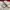 Adidas Sportswear Casual Jersey Pria white photo 6