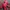 Japanese brand Vintage Streetwear Bag Pria red photo 3