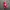 Japanese Brand Vintage Streetwear Bag Pria Red