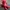 Japanese Brand Vintage Streetwear Bag Pria Red