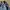 Guess Streetwear Y2K Denim jacket Wanita blue photo 5
