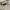 Oakley Sportswear Polo shirt Pria white photo 8