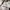 Oakley Sportswear Polo shirt Pria white photo 3