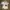 Oakley Sportswear Polo shirt Pria white photo 1