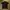 Oakley Sportswear Jersey Pria black photo 1