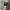 ZARA Minimalist Casual Trench coat Wanita tan photo 3