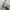 Chanel Luxury Avant Garde Puffer jacket Wanita gray photo 7