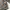 Chanel Luxury Avant Garde Puffer jacket Wanita gray photo 8