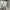 C.P. Company Vintage Avant Garde Casual pants Pria cream photo 3