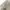 C.P. Company Vintage Avant Garde Casual pants Pria cream photo 5