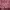 Casual Muslim Scarf Wanita multicolor photo 5