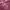 Casual Muslim Scarf Wanita multicolor photo 4
