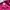 Lolita Casual Bodysuit Wanita pink photo 3