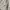 Fila Emo Sportswear Sweatshirt Wanita white gray photo 6
