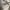 GAP Casual Sweatshirt Pria gray cream photo 4