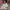 Fairy Coquette Baju bayi Kids pink photo 4
