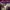Kappa Vintage Sportswear Windbreaker Pria purple photo 5