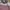Moimoln Fairy Coquette Baju bayi Kids pink photo 3