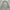 Casual Windbreaker Pria gray photo 2