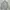 Casual Windbreaker Pria gray photo 4