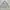 Casual Windbreaker Pria gray photo 1