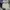 Vintage Indie Kids white blue photo 8