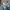 Vintage Indie Kids white blue photo 7