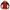 Nautica Sportswear Windbreaker Pria multicolor photo 1