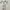 Coquette Casual Evening dress Wanita white photo 1