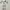 Coquette Casual Evening Dress Wanita White