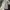 Vintage Streetwear Short Pria tan photo 2