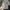Vintage Streetwear Short Pria tan photo 1