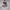 Polo Ralph Lauren Vintage Y2K Hoody Pria gray photo 3